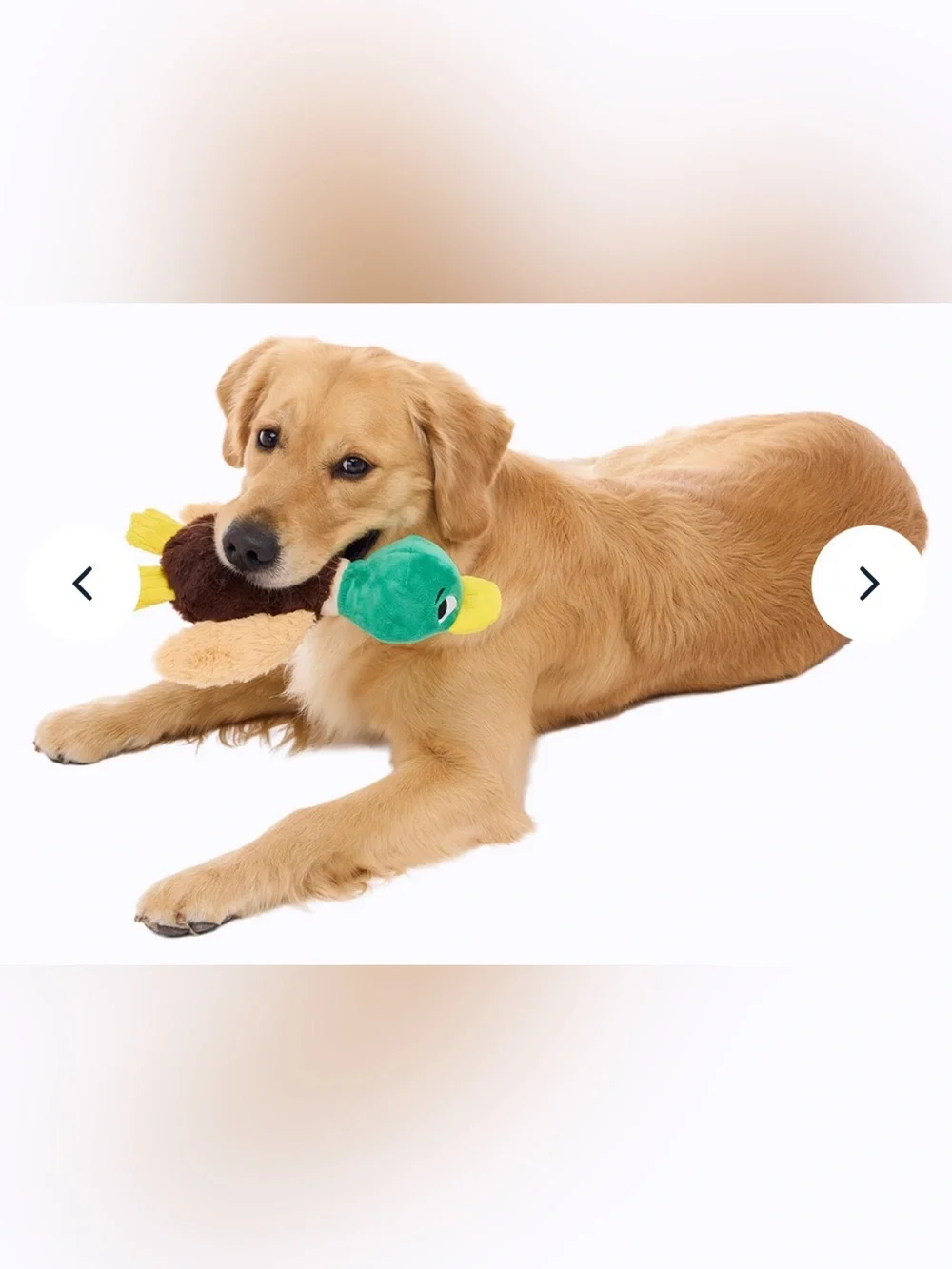 Barkbox dog toy L Duck NEW thrash, whip, squeak & crinkle